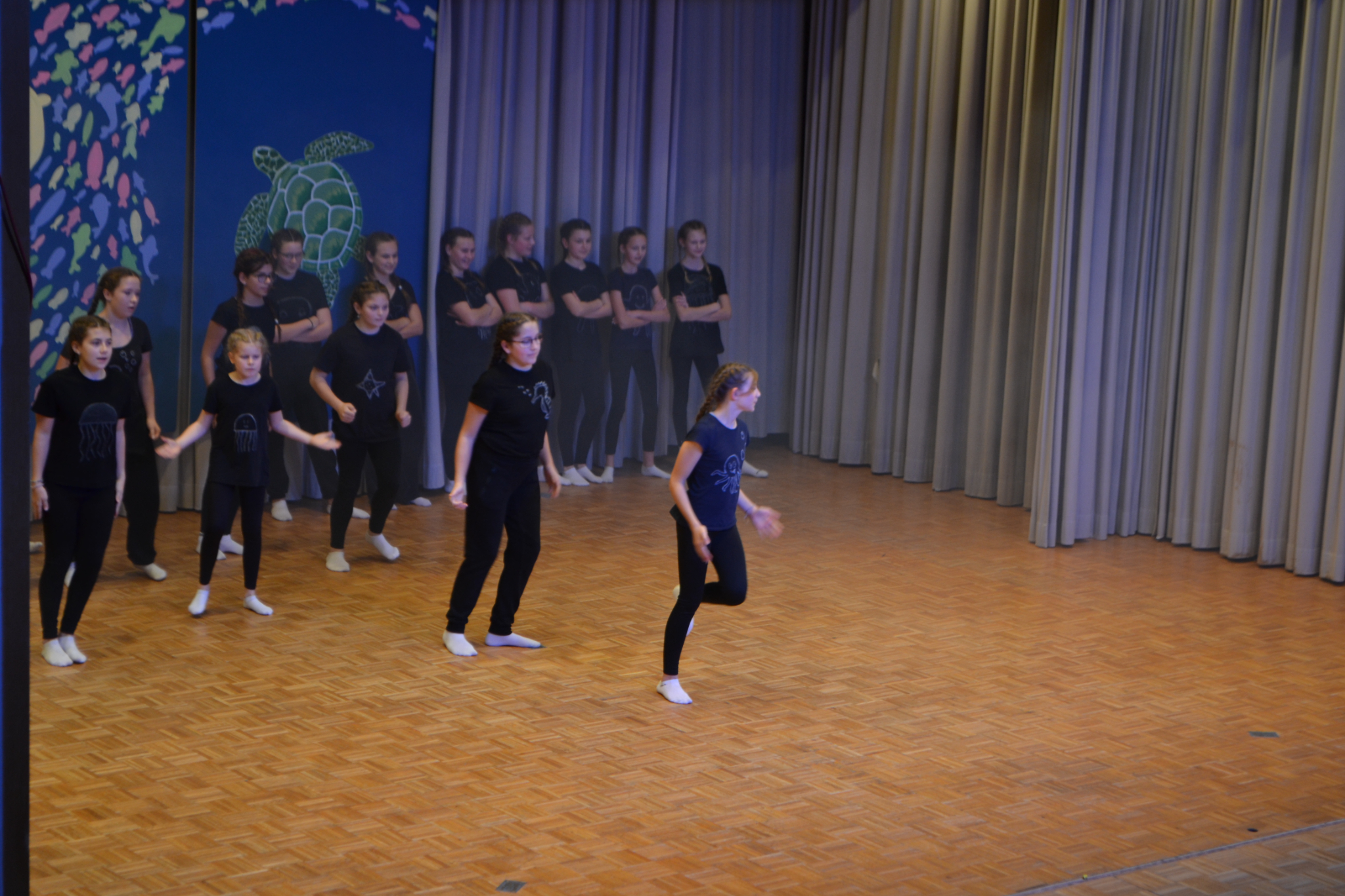 Bild2 (137)